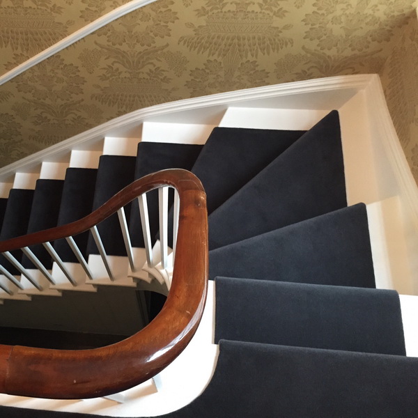 Plush Sumptuous Velvets